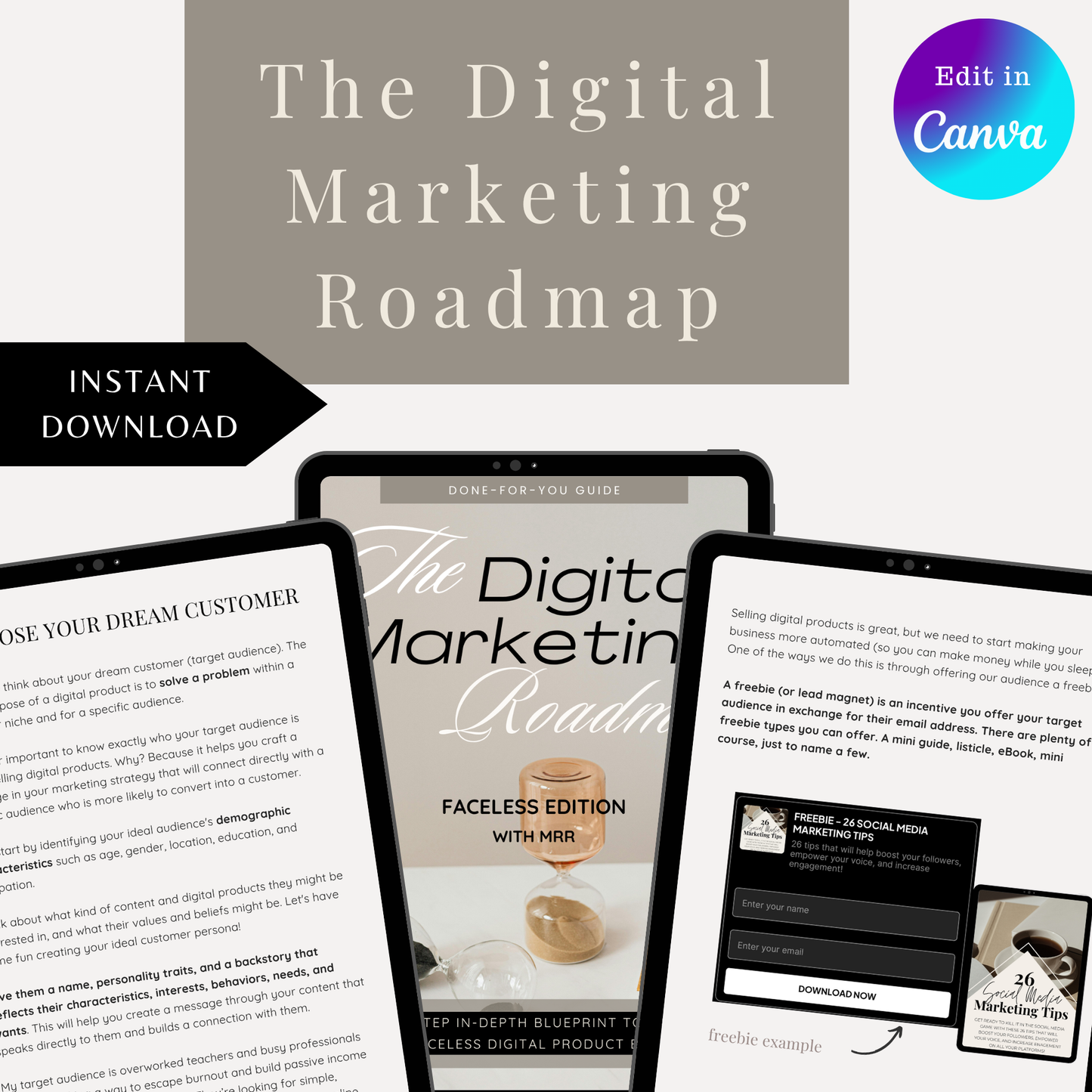 The Digital Marketing Roadmap (PLR & MRR)